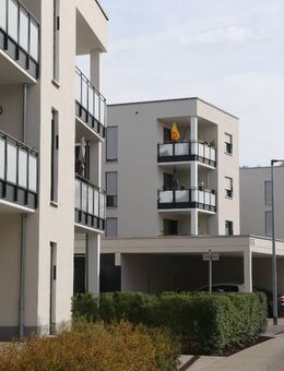 Wohnung 3-ZimmerWhg I. OG Rechts - Bamberg
