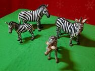 Schleich Zebras - Bernau (Berlin)