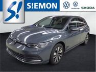 VW Golf, 1.5 TSI VIII Move, Jahr 2024 - Ibbenbüren