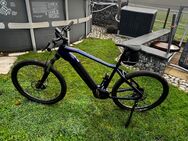 Haibike Alltrack 4 Rahmen XL - Calberlah