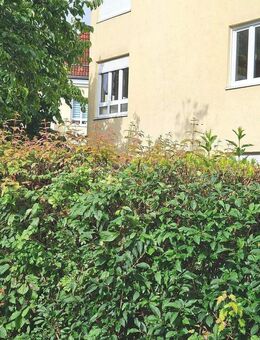 gut vermietet: 2-Raum-Wohnung im 1. Obergeschoß. Balkon. Tiefgaragen-Stellplatz (abschließbare Boxe) - Dresden