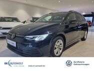 VW Golf Variant, 2.0 TDI VIII Life, Jahr 2021 - Ennigerloh