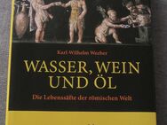 Wasser, Wein und Öl. Die Lebenssäfte der römischen Welt - Münster