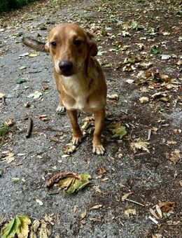 Voller Lebensfreude = verspielte JILL♥️ - München