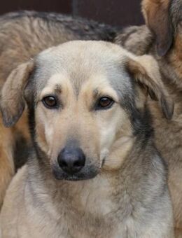 Laura sucht erfahrene Menschen - Kallmünz