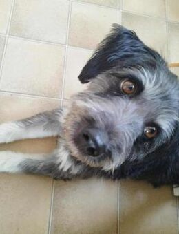 Rosi - auf PS in Nürnberg - Nürnberg