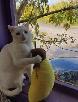 Vertrauensvoll + voller Zuneigung KALIM♥ - München