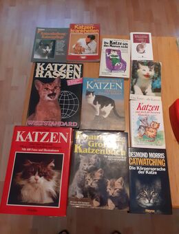 Verkaufe Katzenbücher - Mönsheim