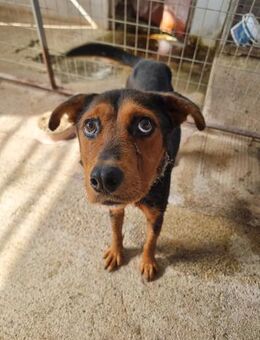 Cora ist bereit für ihr neues Leben - Eixen