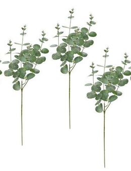 Kunstzweig Künstlicher Zweig Eukalyptus Eukalyptus, I.GE.A., Höhe 60 cm, 5er Set Dekozweig Deko für Girlande Kranz Weihnachtsdeko Einzelblume