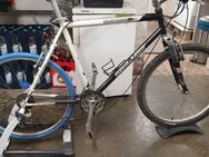 Rollentrainer mit Fahrrad VB 80€ - Langenfeld (Rheinland)