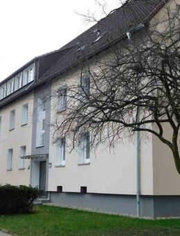 Nachmieter gesucht: Renovierte 3-Zimmer-Wohnung mit Balkon - Essen