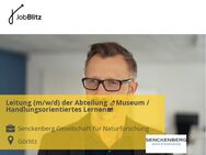 Leitung (m/w/d) der Abteilung Museum / Handlungsorientiertes Lernen - Görlitz