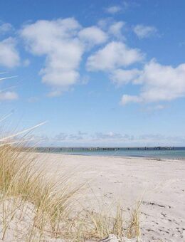 Ferienwohnung im Strandpark Großenbrode - Großenbrode
