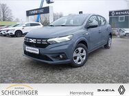 Dacia Sandero, Expression TCe 90, Jahr 2022 - Herrenberg