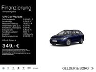 VW Golf Variant, 1.5 TSI Life Digital, Jahr 2023 - Haßfurt