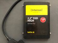 SSD 120 GB Intenso + SATA - USB Kabel | Versand kostenlos - Hamburg