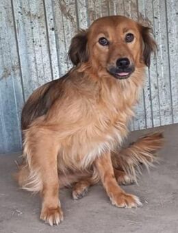 Rebi wünscht sich ein warmes Bettchen - Olsberg