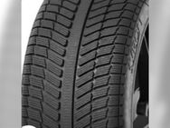 4x neue Winterreifen SYRON 205/55 R16 91H XL EVEREST 3 - Bestwig