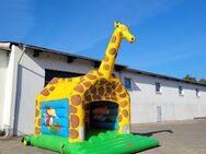 Hüpfburg Giraffe zu Verkaufen - Gardelegen (Hansestadt)