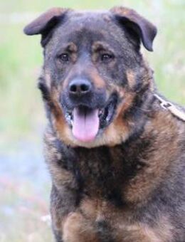 Yona - ein echter Prachtkerl - Lohra