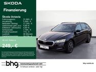 Skoda Octavia, 1.5 TSI Combi Ambition Octavia Combi Amb, Jahr 2020 - Freiburg (Breisgau)