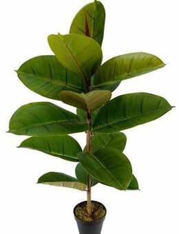 Künstliche Zimmerpflanze Gummibaum, I.GE.A., Höhe 84 cm