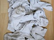 Socken zu verkaufen M28 - Paderborn