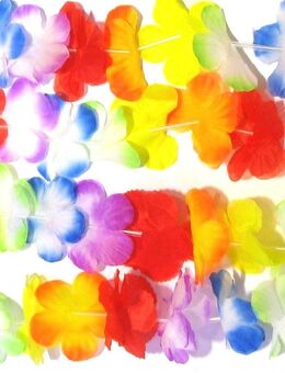 2 Stück - Hawaii Blüten Kette - Silikonband - Regenbogen - Neu - Biebesheim (Rhein)