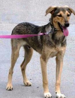 Nilay ist einfach nur süß!! - Karben