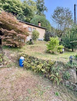 Wochenendgrundstück mit massivem Gartenhaus und kleinem Wäldchen! - Struppen