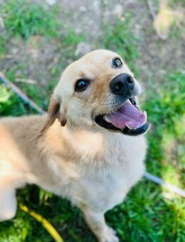 REMiNiO ist SO freundlich zu Allen 😍 - Mylau