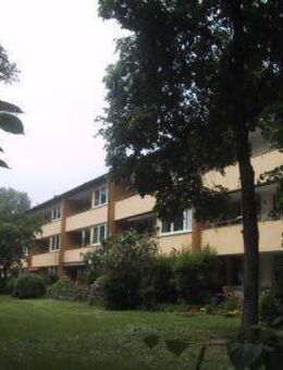 Blick ins Grüne Alt-Tannenbusch, sanierte, geräumige 3-Zimmer-Wohnung - Bonn