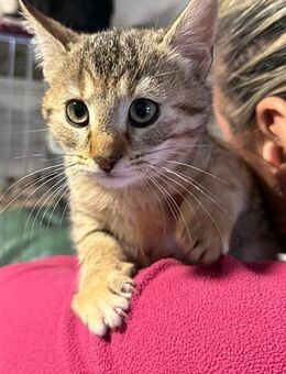 Tessa sucht ihr Glück! - München