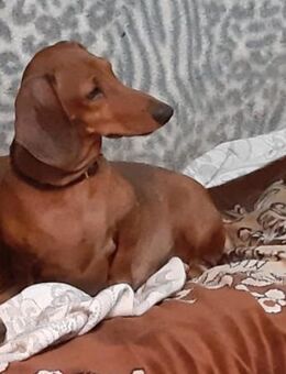 Knopka - Mönchengladbach