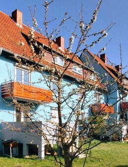 Hochwertig renovierte 3-Zimmer-Wohnung bei Grünstadt - solide Kapitalanlage mit Zukunftspotenzial - Hettenleidelheim