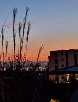 Renovierte, gepflegte, moderne 3-Zi. Whg. mit Penthouse-Charakter mit Säntisblick in FN-Fischbach!! - Friedrichshafen