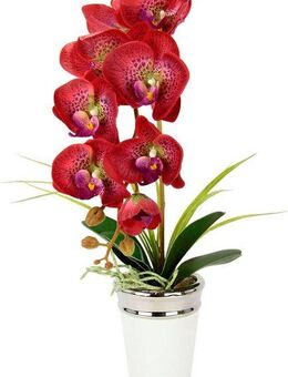Kunstblume Orchidee, I.GE.A., Höhe 52 cm, im Topf, aus Keramik, Seidenblume Real Touch