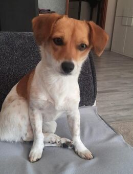 Finni - Recklinghausen