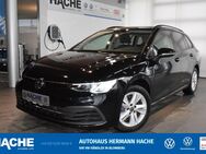 VW Golf Variant, 2.0 TDI Golf 8 Comfortline, Jahr 2021 - Blomberg (Nordrhein-Westfalen)