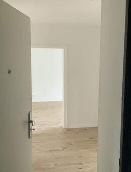 Wer hier nicht zuschlägt ist selber schuld. - Monheim (Rhein)