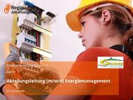 Abteilungsleitung (m/w/d) Energiemanagement - Sinsheim