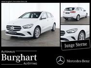 Mercedes B 250, Progressive Business MBUX HighEnd, Jahr 2022 - Altötting