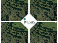 Schöne Waldgrundstücke in LIEBMANNSBERG !!! - Grattersdorf