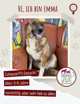 Emma sucht ab November ein zu Hause - Nürtingen