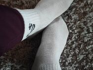 Getragene Socken oder Slips - Bramsche