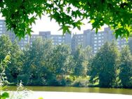 Kleine 2-Wohnung in Darmstadt-Kranichstein - Darmstadt