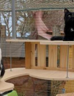 Mats & Merle ein lebendiges Doppelpack - Walluf