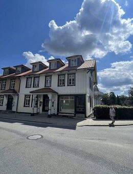 Wohn- & Geschäftshaus (Denkmalschutz) in bester zentraler Lage von Ilsenburg (Harz) - Ilsenburg (Harz)