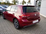 VW Golf, 1.0 l TSI IQ DRIVE, Jahr 2019 - Flörsheim (Main)